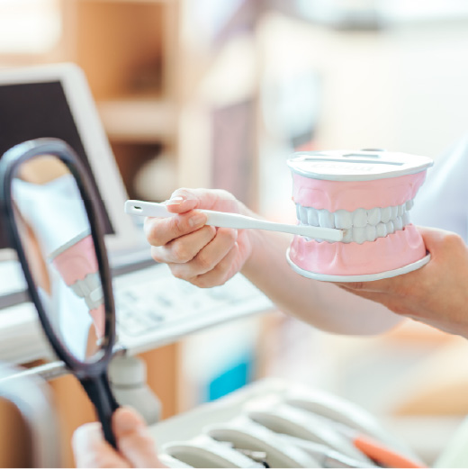 ブラッシング指導