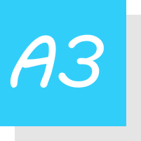 a3
