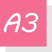a3
