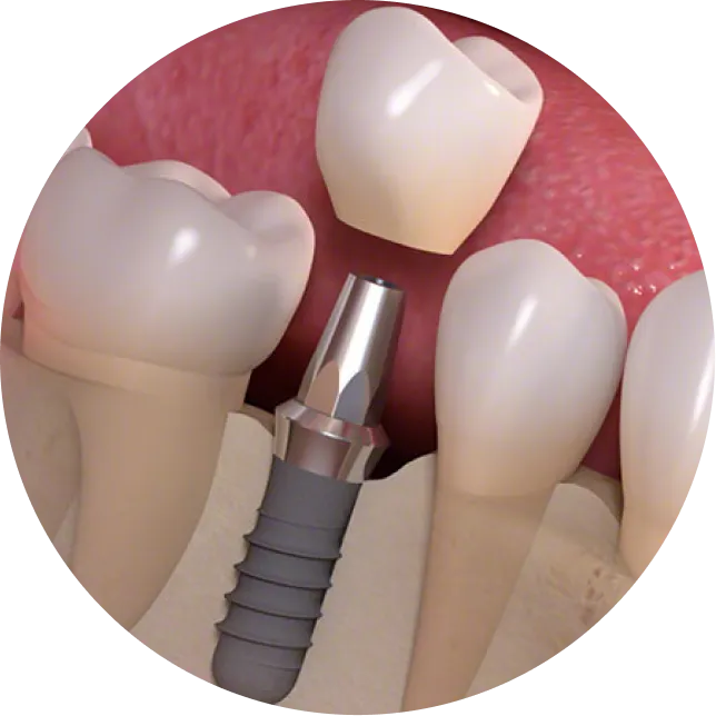 メンテナンス・定期検診