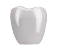 上部構造（人工歯）