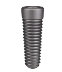 インプラント体